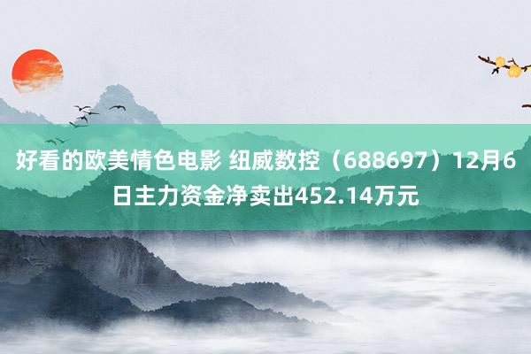 好看的欧美情色电影 纽威数控（688697）12月6日主力资金净卖出452.14万元