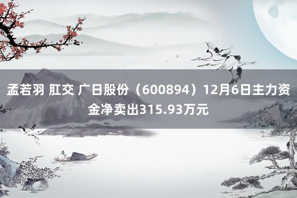 孟若羽 肛交 广日股份（600894）12月6日主力资金净卖出315.93万元