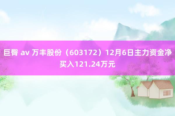 巨臀 av 万丰股份（603172）12月6日主力资金净买入121.24万元