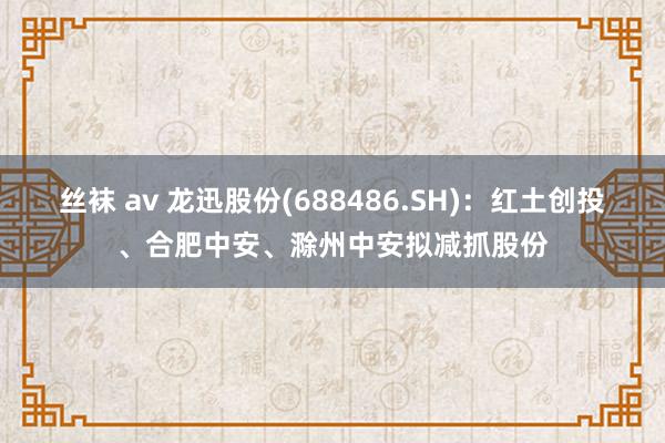 丝袜 av 龙迅股份(688486.SH)：红土创投、合肥中安、滁州中安拟减抓股份