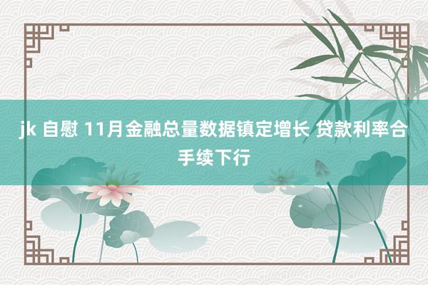 jk 自慰 11月金融总量数据镇定增长 贷款利率合手续下行