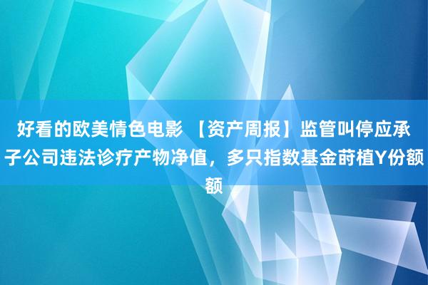 好看的欧美情色电影 【资产周报】监管叫停应承子公司违法诊疗产物净值，多只指数基金莳植Y份额