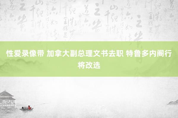 性爱录像带 加拿大副总理文书去职 特鲁多内阁行将改选