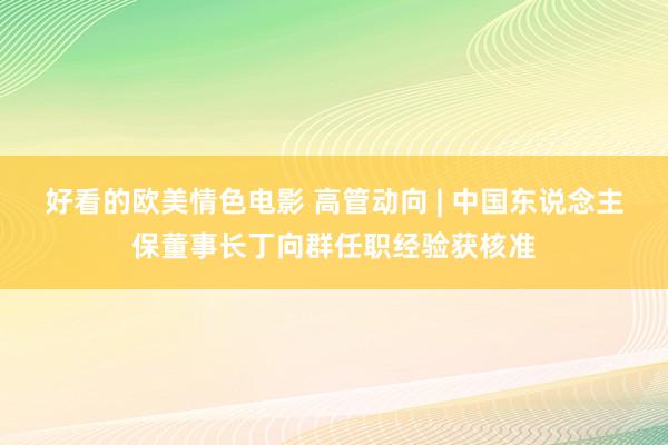 好看的欧美情色电影 高管动向 | 中国东说念主保董事长丁向群任职经验获核准