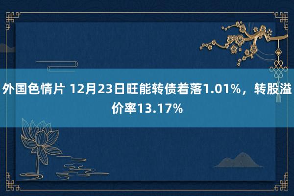 外国色情片 12月23日旺能转债着落1.01%，转股溢价率13.17%