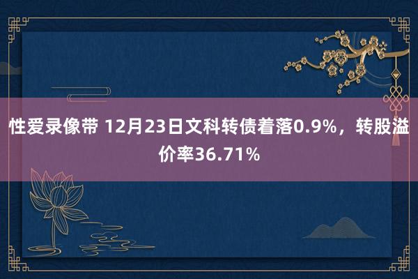 性爱录像带 12月23日文科转债着落0.9%，转股溢价率36.71%