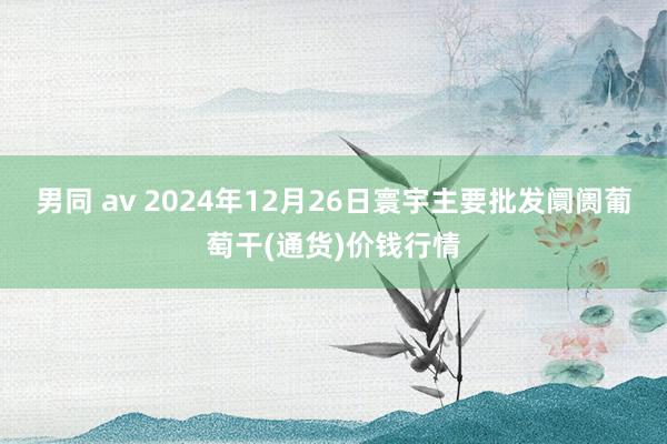 男同 av 2024年12月26日寰宇主要批发阛阓葡萄干(通货)价钱行情