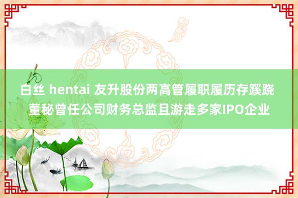 白丝 hentai 友升股份两高管履职履历存蹊跷 董秘曾任公司财务总监且游走多家IPO企业