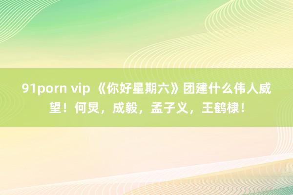 91porn vip 《你好星期六》团建什么伟人威望！何炅，成毅，孟子义，王鹤棣！