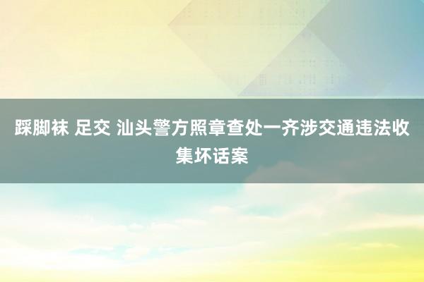 踩脚袜 足交 汕头警方照章查处一齐涉交通违法收集坏话案