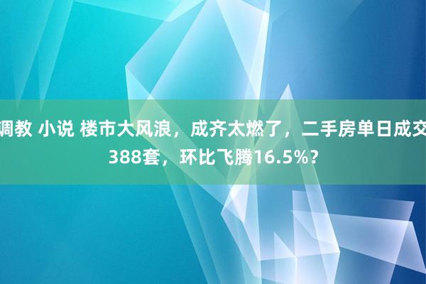 调教 小说 楼市大风浪，成齐太燃了，二手房单日成交388套，环比飞腾16.5%？