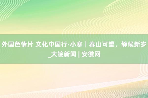 外国色情片 文化中国行·小寒｜春山可望，静候新岁_大皖新闻 | 安徽网