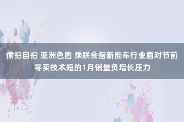 偷拍自拍 亚洲色图 乘联会指新能车行业面对节前零卖技术短的1月销量负增长压力