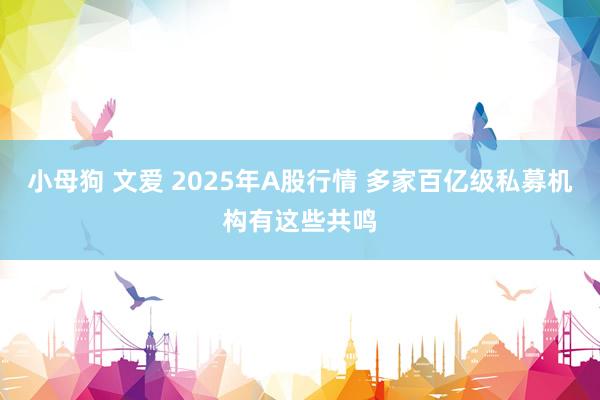 小母狗 文爱 2025年A股行情 多家百亿级私募机构有这些共鸣