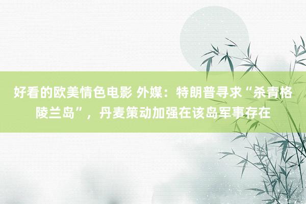 好看的欧美情色电影 外媒：特朗普寻求“杀青格陵兰岛”，丹麦策动加强在该岛军事存在