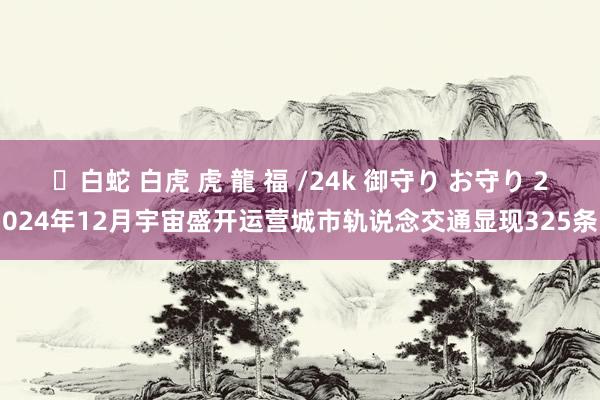 ✨白蛇 白虎 虎 龍 福 /24k 御守り お守り 2024年12月宇宙盛开运营城市轨说念交通显现325条